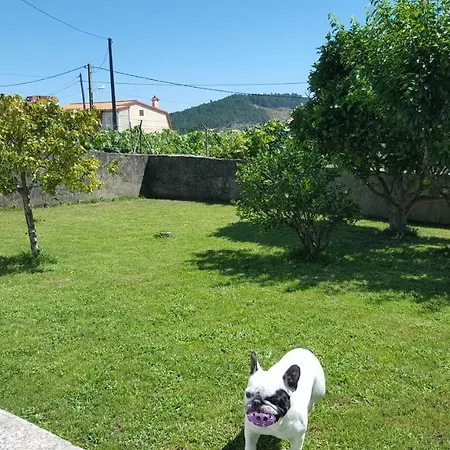 בית כפרי Oscar En - Camino De Santiago *