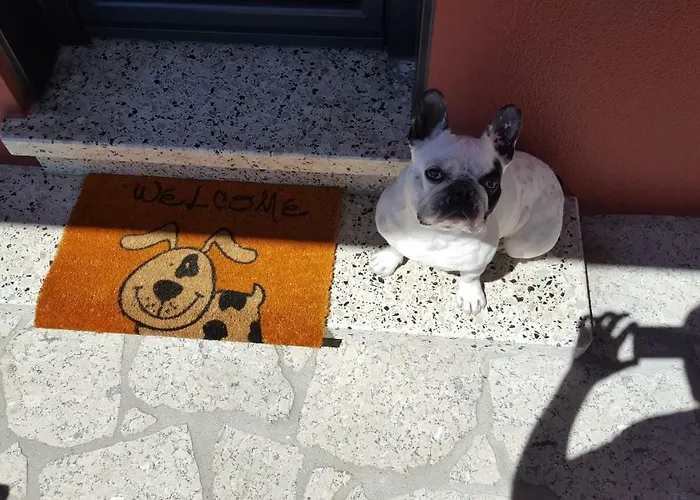 Εξοχικό σπίτι Oscar Baiona