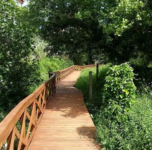 Oscar Casa de Campo *